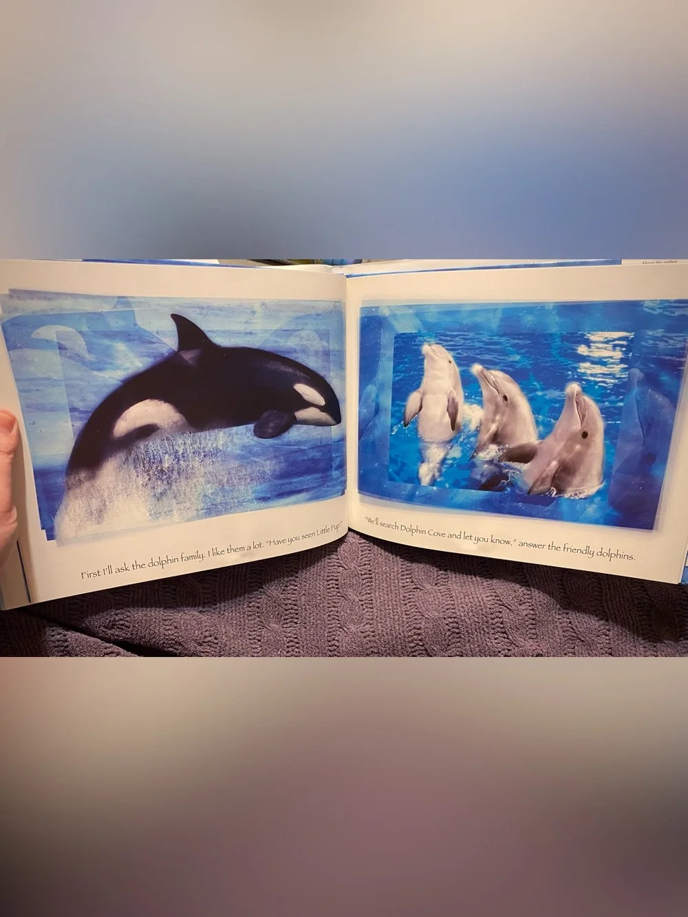 5/$25 Shamu and the Advebturous Seal Pup by Marc Shulman Michael Kilfoy SeaWorld
